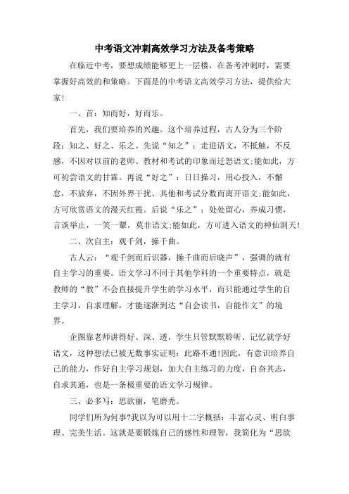 中考语文冲刺高效学习方法及备考策略