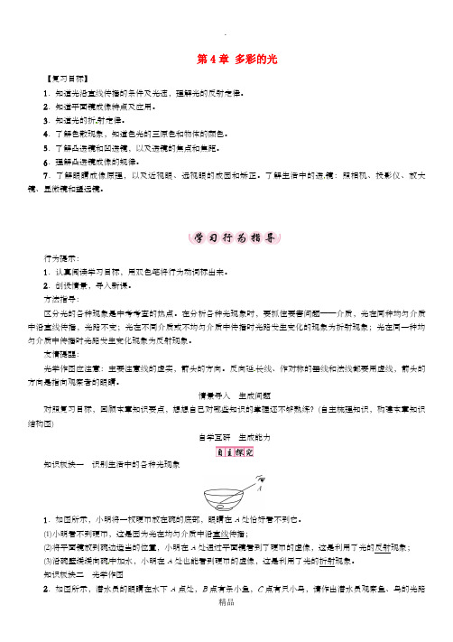 八年级物理全册 第4章 多彩的光复习学案 沪科版