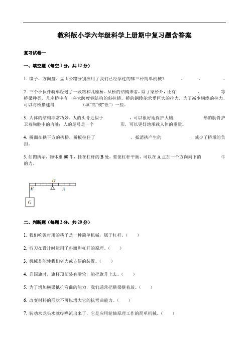 教科版小学六年级科学上册期中复习题含答案