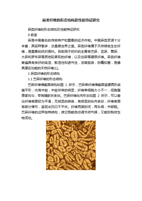 麻类纤维的形态结构及性能特征研究