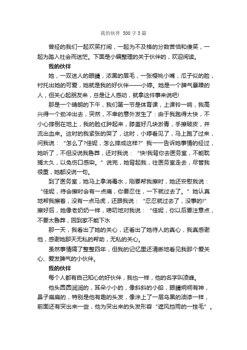 我的伙伴500字5篇_写人优秀作文_