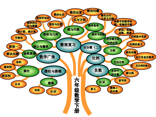 自己修改人教版六年级数学下册全册、一、二、三单元知识树