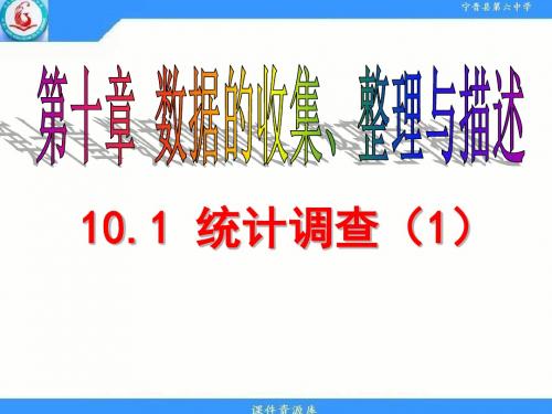 10.1统计调查(1)