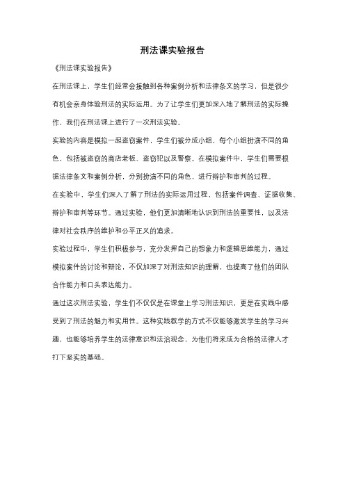 刑法课实验报告