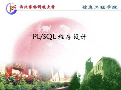 plsql编程