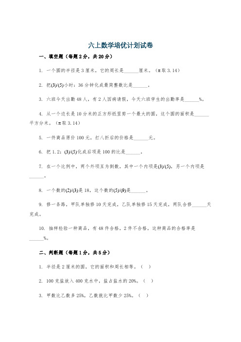 六上数学培优计划试卷