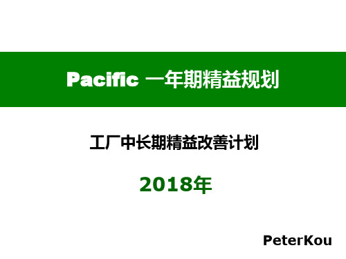 2018年精益规划