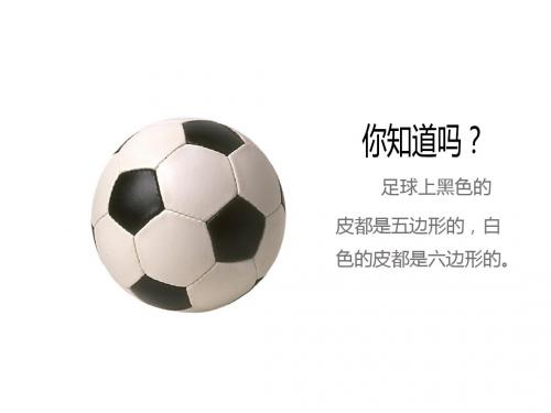五年级 第五章简易方程 第11节实际问题与解方程(二)