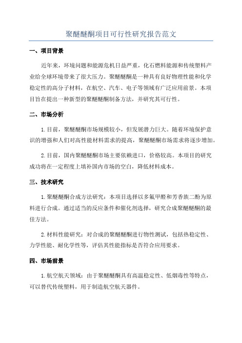 聚醚醚酮项目可行性研究报告范文