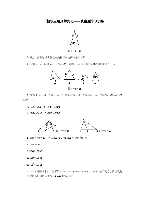 北师大版八年级数学下册第四章相似图形探索三角形相似的条件第2课时相似三角形的判定2同步练习及答案