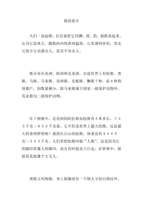 熊的简介