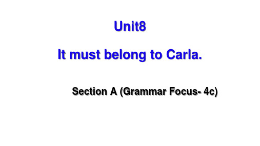 人教新目标版英语九年级Unit 8  Section A (Grammar Focus-4c)课件