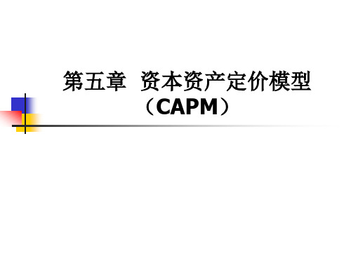 第五章资本资产定价模型(CAPM)(证券投资学-北大,杨云红)