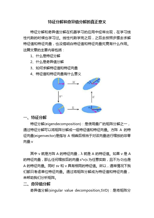 特征分解和奇异值分解的真正意义