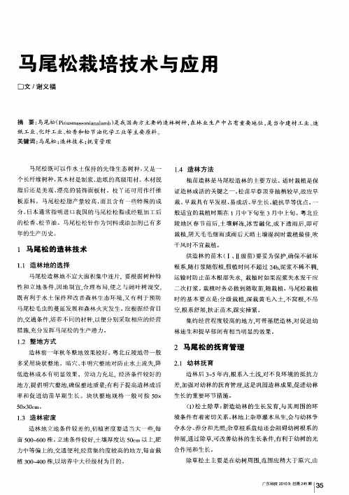 马尾松栽培技术与应用