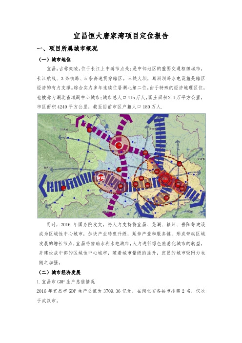 宜昌唐家湾某项目定位报告