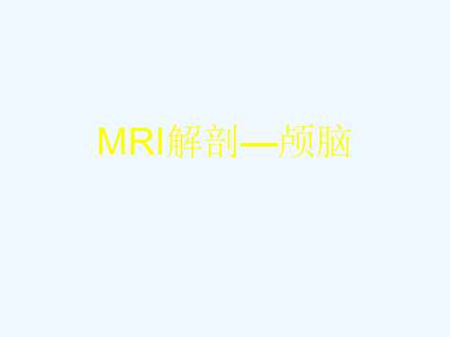 最新 -MRI解剖—颅脑