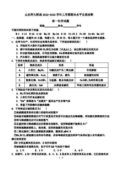 山东省山东师大附高2022-2023学年高一上学期学科水平自我诊断(期末)化学试题(含答案)