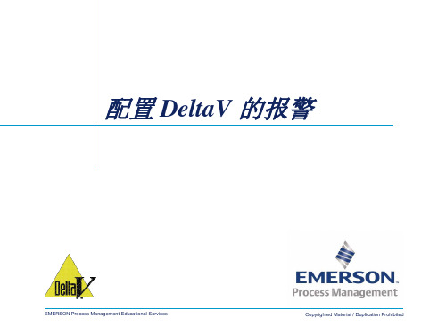 Delta V 7009-04配置 DeltaV 的报警