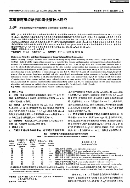 草莓花药组织培养脱毒快繁技术研究