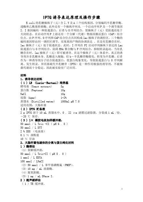 IPTG诱导外源基因表达