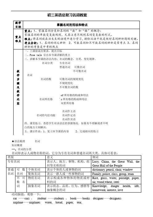 初中英语名词经典教案教学文稿