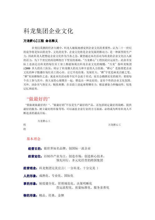 龙集团企业文化