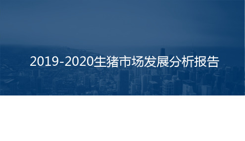 2019-2020生猪市场发展分析报告