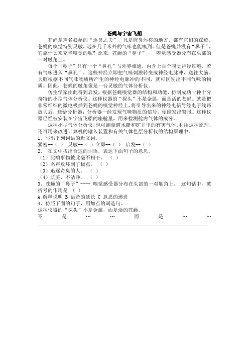 五年级阅读理解练习