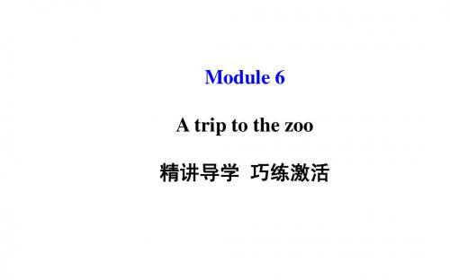 外研(新标准)版七年级上Module6 A trip to the zoo模块导学课件(共93张PPT)