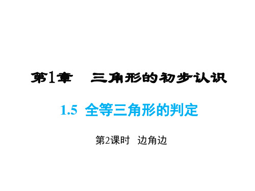 浙教版八年级上册数学同步课件-第1章-1.5 第2课时 边角边