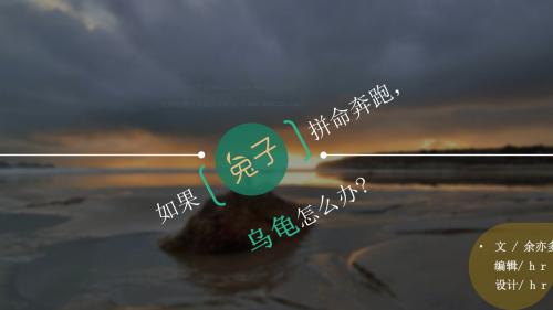 如果兔子拼命奔跑——励志故事读书心得ppt模板