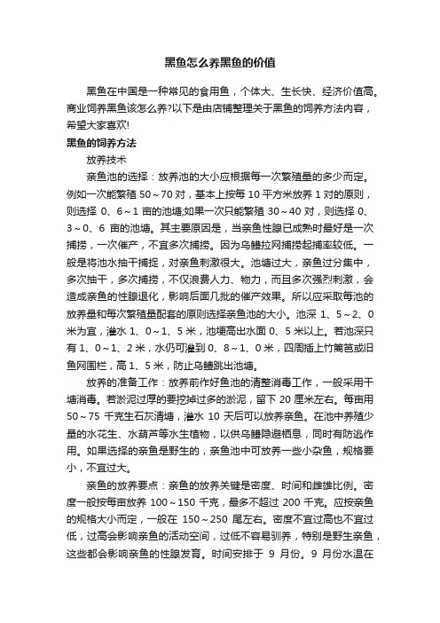 黑鱼怎么养黑鱼的价值