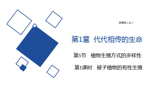 浙教版科学七年级下册植物生殖方式的多样性(第1课时 被子植物的有性生殖)