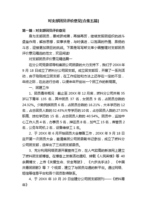 对支部团员评价意见[合集五篇]