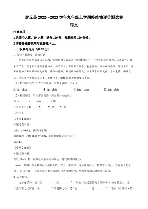 精品解析：河南省新乡市封丘县2022-2023学年九年级上学期期末语文试题(解析版)