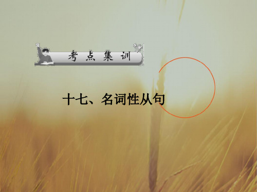广东省广州天河外国语学校2018高考英语语法一轮复习课件：名词性从句03