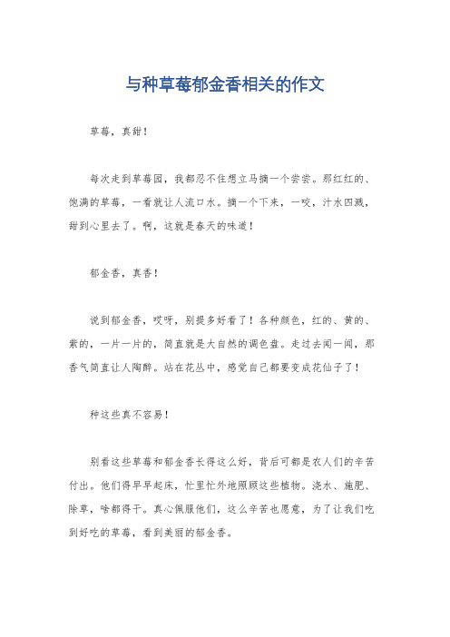 与种草莓郁金香相关的作文