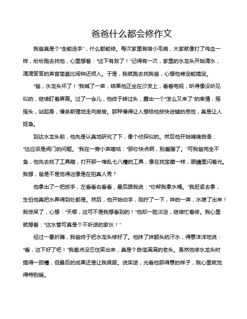 爸爸什么都会修作文