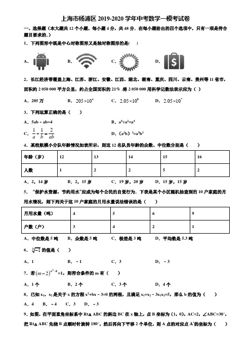 上海市杨浦区2019-2020学年中考数学一模考试卷含解析