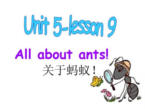 青少版新概念2A_unit_5