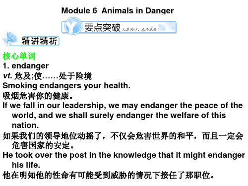 高三英语animals-in-danger课件
