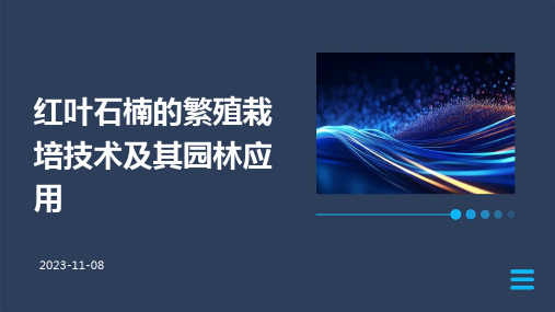 红叶石楠的繁殖栽培技术及其园林应用