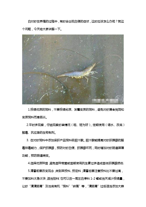 白对虾白便怎么治疗