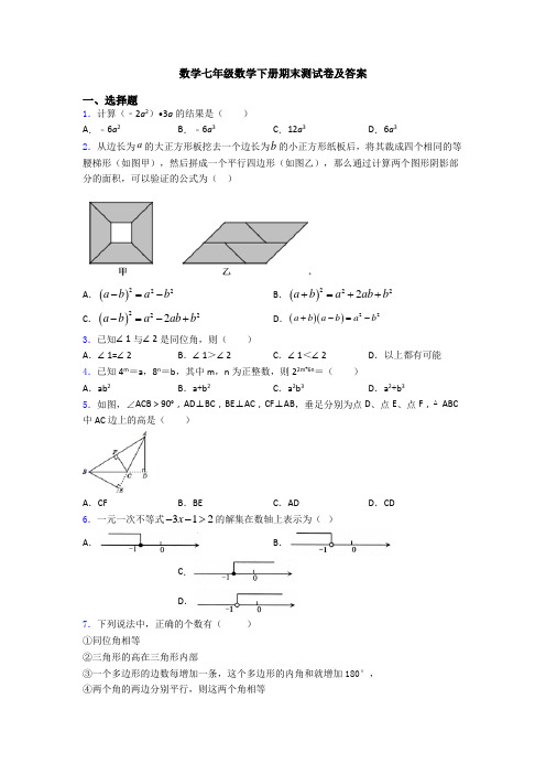 数学七年级数学下册期末测试卷及答案