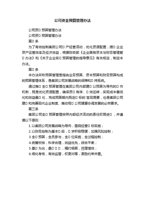 公司资金预算管理办法