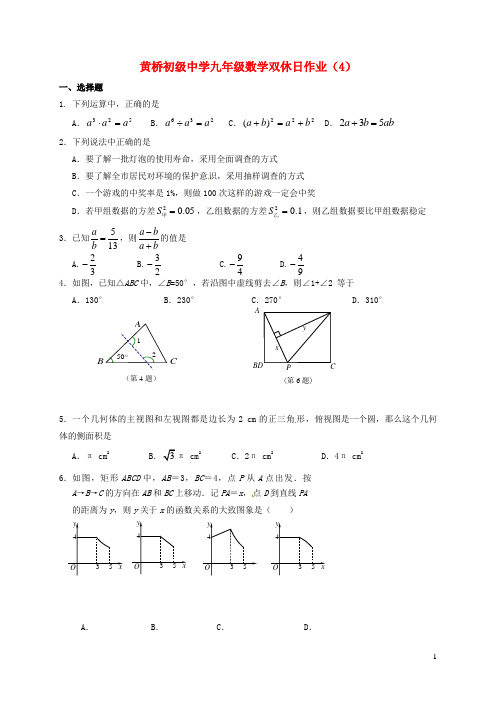 江苏省泰兴市黄桥镇九年级数学下学期双休日作业(4)(无答案)