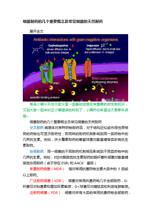 细菌耐药的几个重要概念及常见细菌的天然耐药