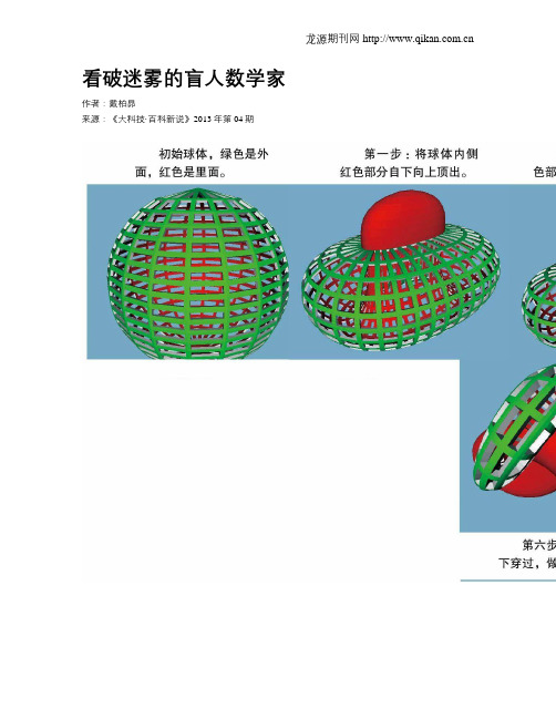 看破迷雾的盲人数学家