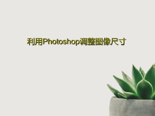 利用Photoshop调整图像尺寸21页PPT